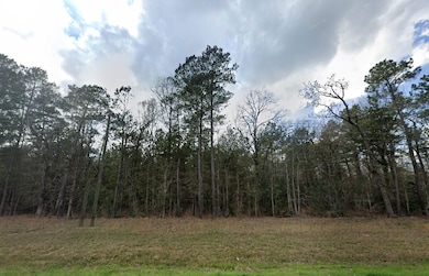 Lakeview Dr, Dayton, TX 77535 - photo 7