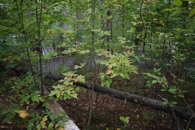 5 Rabbit Path, Hillsborough, NH 03244 - photo 2