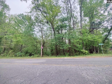 0 Mineral Springs Rd unit 560120, Lexington, SC 29072 - photo 3