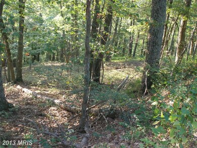 175 S Branch Mountain Rd, Moorefield, WV 26836 - photo 5