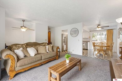 13111 Larimore Cir, Omaha, NE 68164 - photo 5