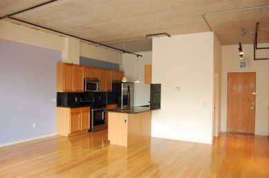 Liberty Lofts Condos unit 302, Ann Arbor, MI 48103 - photo 3