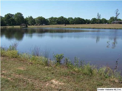View of stocked pond