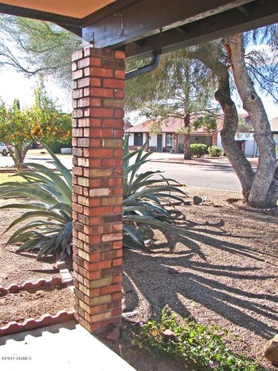 Front Yard