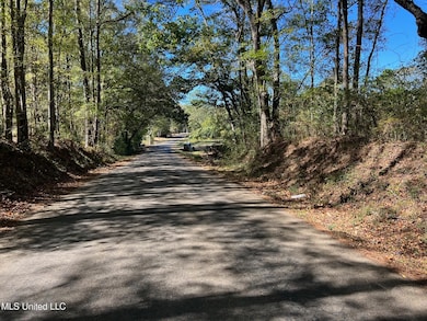 XXX Wa Walker Rd, McComb, MS 39648 - photo 2