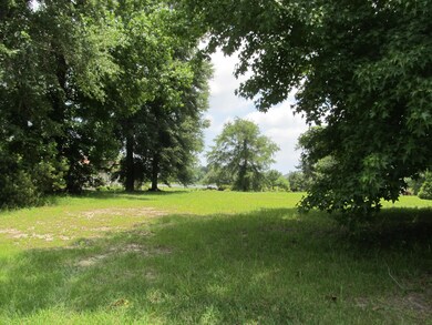 IMG_7787