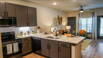 2953 Fm 2920 Rd unit 3103, Spring Branch, TX 77388 - photo 4