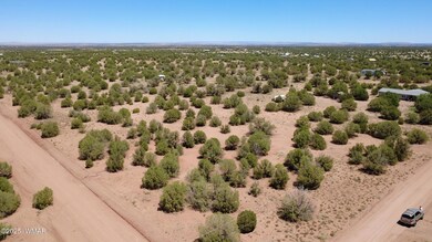 4409 E Pinto Rd, Snowflake, AZ 85937 - photo 3