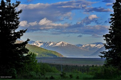 View 5.28.2020