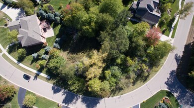 Photo-6