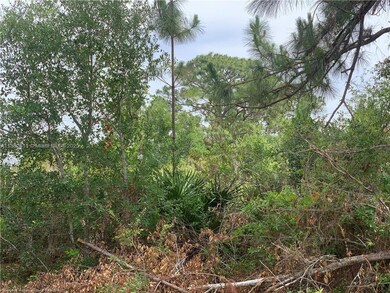 105 Citation St NW, Lake Placid, FL 33852 - photo 6