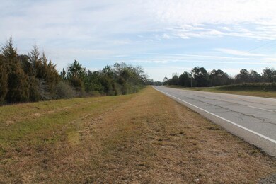 TBD U S 280 W, Americus, GA 31709 - photo 3