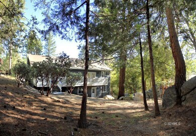 From Rear of the yard