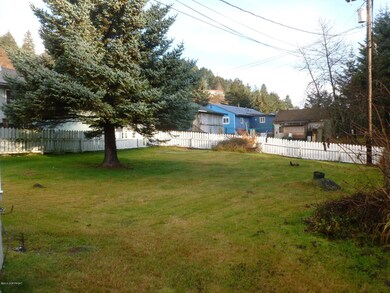 Big Back yard