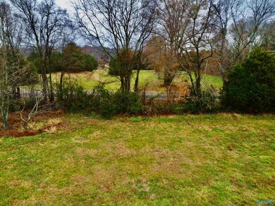 Tract 2 County Road 89, Anderson, AL 35610 - photo 5