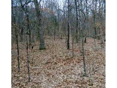 0 Ria Ln unit 699123, Eureka Springs, AR 72631 - photo 3