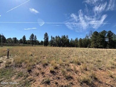 2221 W Edgewater unit Lot 57, Show Low, AZ 85901 - photo 5