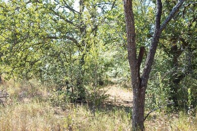 TBD County Road 149, Brownwood, TX 76801 - photo 4