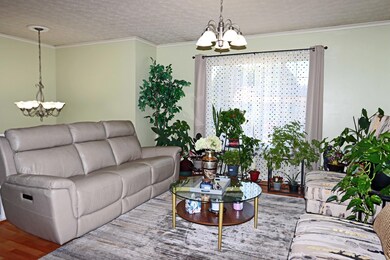 IMG_2022_edited-1