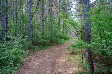 2.08 ac N Clearview Rd, Nekoosa, WI 54456 - photo 3