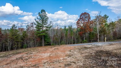 65 Smoothstem Ct unit 85, Nebo, NC 28761 - photo 7