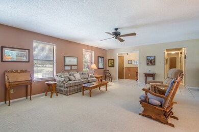 649 Cherry Hollow Dr, Fredericksburg, TX 78624 - photo 6