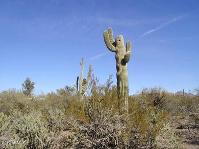 natural landscape