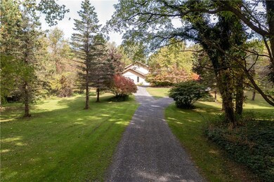 Driveway coming up to house
