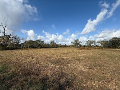 1 County Road 700, Brazoria, TX 77422 - photo 4