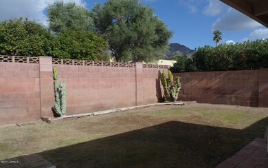 back (3)