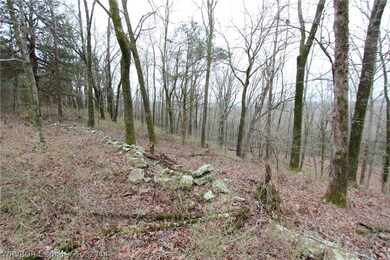 23400 Barr Rd, Winslow, AR 72959 - photo 3