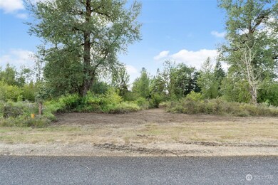 0 Greenwater Dr unit NWM2145396, Toledo, WA 98591 - photo 7