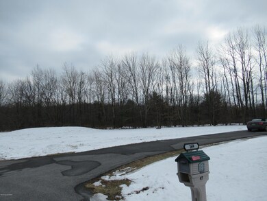 169 Maple Spring Dr, Kunkletown, PA 18058 - photo 6