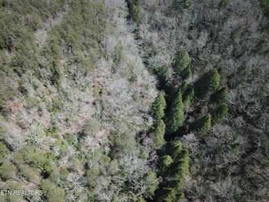 DJI_0322