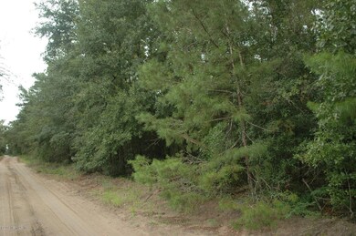 Ridge Trail 7 - 5 Acre on right