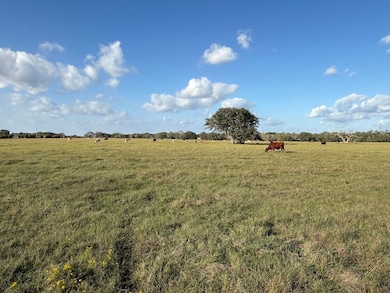 31619 Texas 36, West Columbia, TX 77486 - photo 5