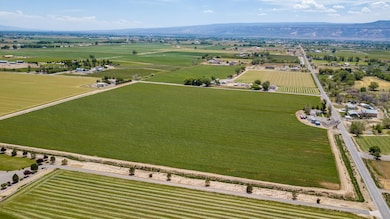 1410 19 Rd, Fruita, CO 81521 - photo 2