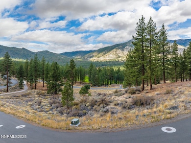 569 Headwaters Way unit 358, Carson City, NV 89705 - photo 4