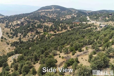 21455 Saddleback Rd, Reno, NV 89521 - photo 3