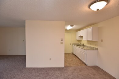 11 Silver Hill Ln unit 3, Natick, MA 01760 - photo 7