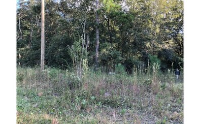 988 NW Moore Rd, Lake City, FL 32055 - photo 3
