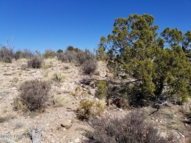 0 Un Named Rd unit 1045970, Ash Fork, AZ 86320 - photo 6