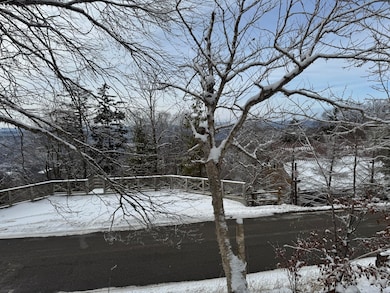 361 N Westridge Rd, Snowshoe, WV 24934 - photo 6