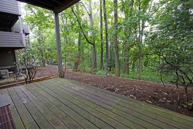 407 Three Ridges, Wintergreen Resort, VA 22967 - photo 5