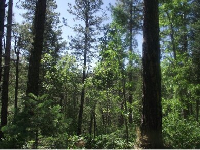 Nestled In The Trees