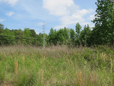 220 Cedarcrest Dr, Lexington, SC 29072 - photo 3