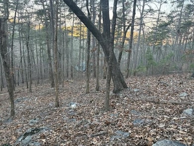 1135 Embry Ct, Ranger, GA 30734 - photo 3