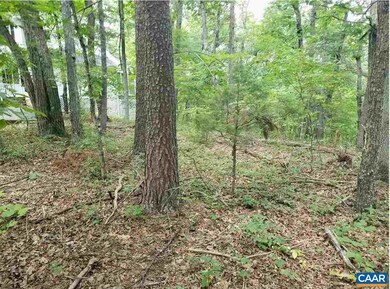 0 Dooley Dr unit 24 594552, Basye, VA 22810 - photo 6