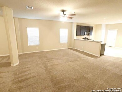 10335 Mill Path, San Antonio, TX 78254 - photo 4