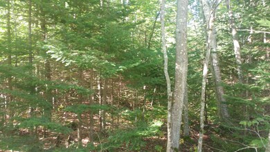 Lot 9 Hopper Rd, Acton, ME 04001 - photo 4